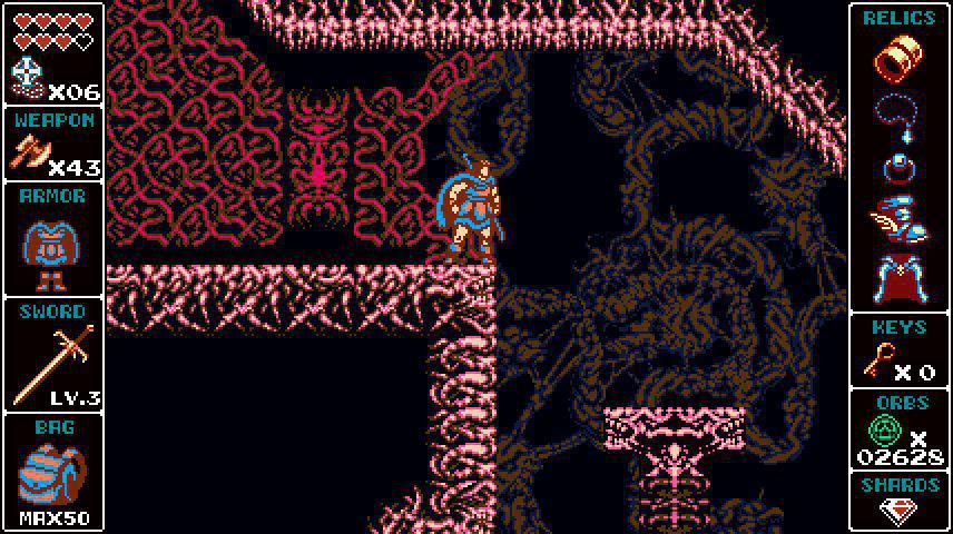 Скриншот из игры Odallus: The Dark Call - 58