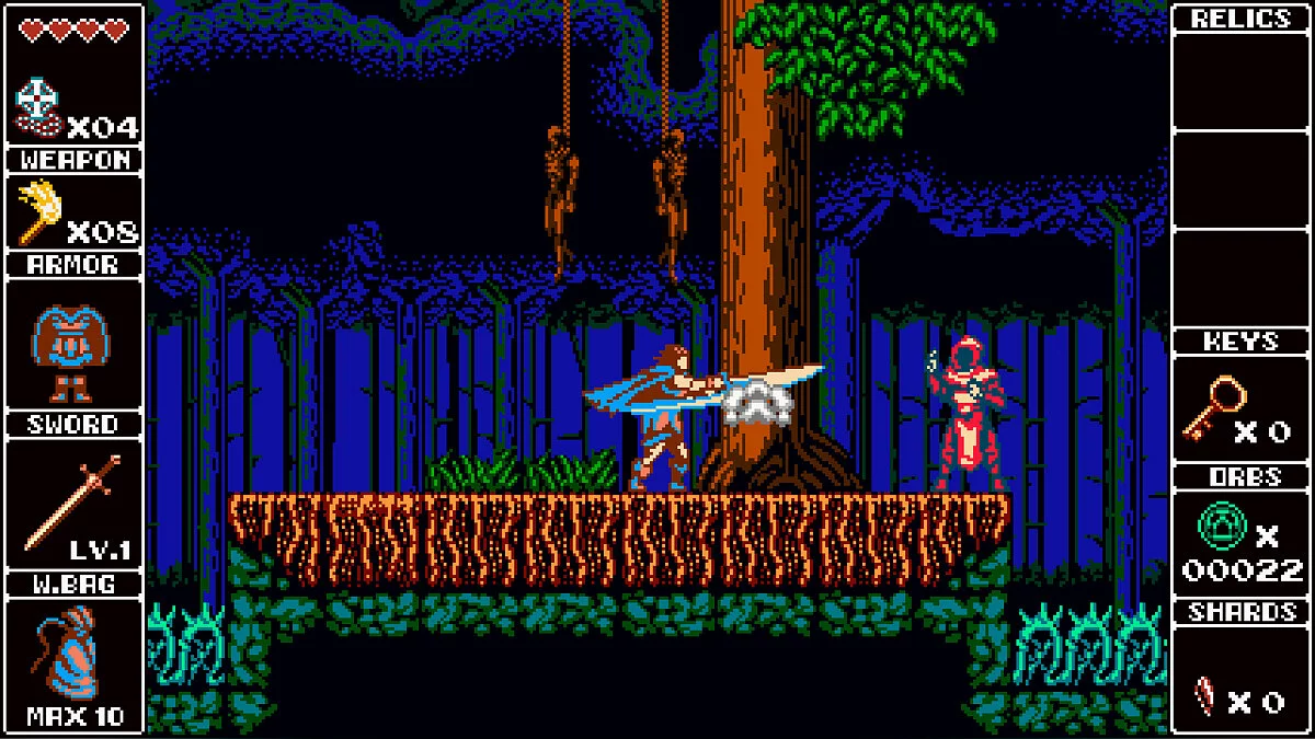 Скриншот из игры Odallus: The Dark Call - 5