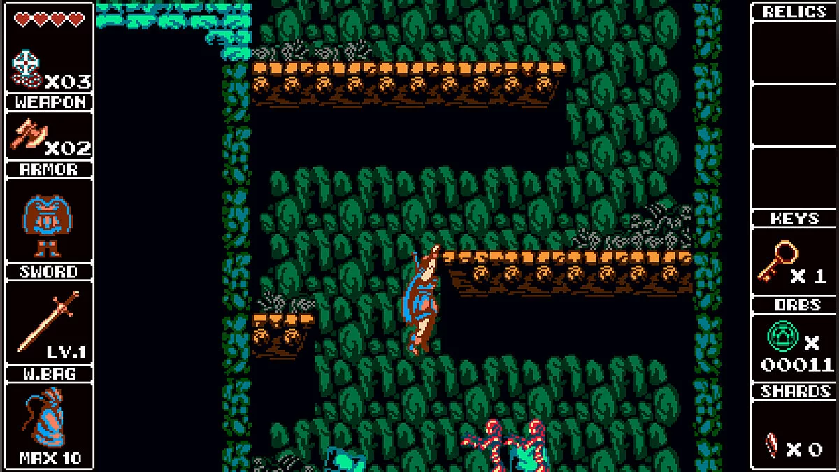 Скриншот из игры Odallus: The Dark Call - 12