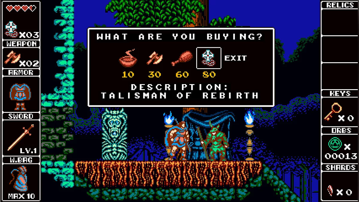 Скриншот из игры Odallus: The Dark Call - 25