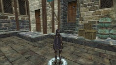 Скриншот из игры Silkroad Online - 78