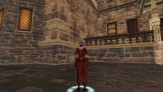 Скриншот из игры Silkroad Online - 107