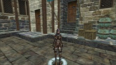 Скриншот из игры Silkroad Online - 53