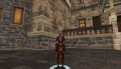 Скриншот из игры Silkroad Online - 153