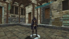 Скриншот из игры Silkroad Online - 47