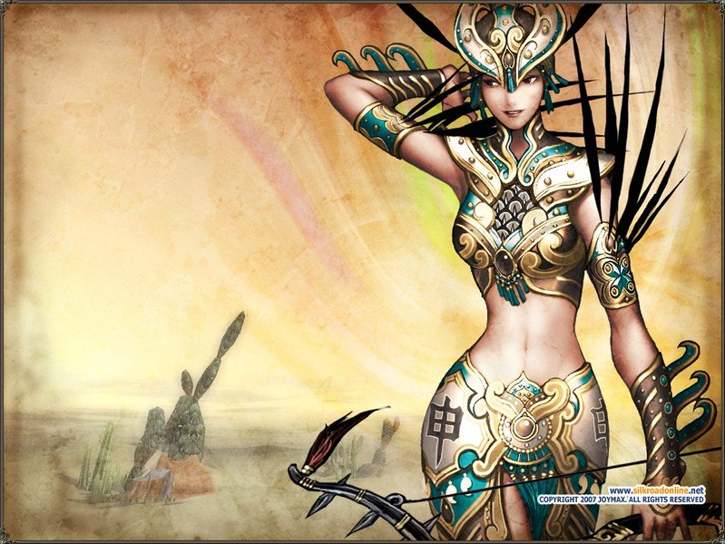 Скриншот из игры Silkroad Online - 45