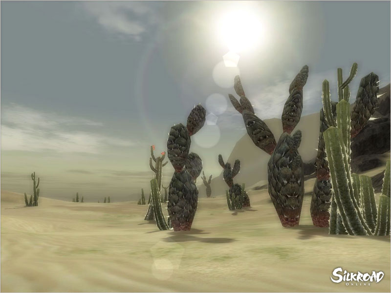 Скриншот из игры Silkroad Online - 33
