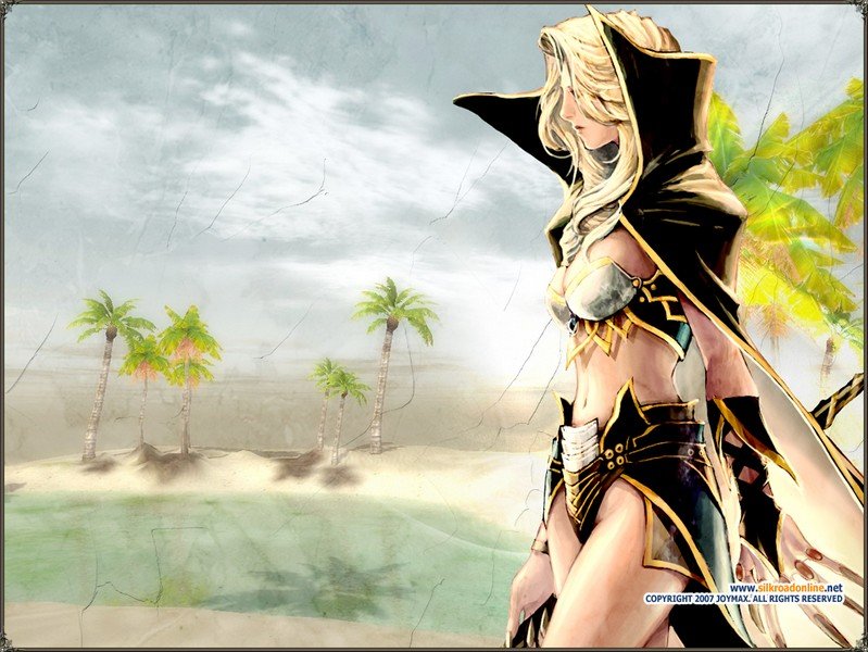 Скриншот из игры Silkroad Online - 60