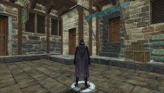 Скриншот из игры Silkroad Online - 113