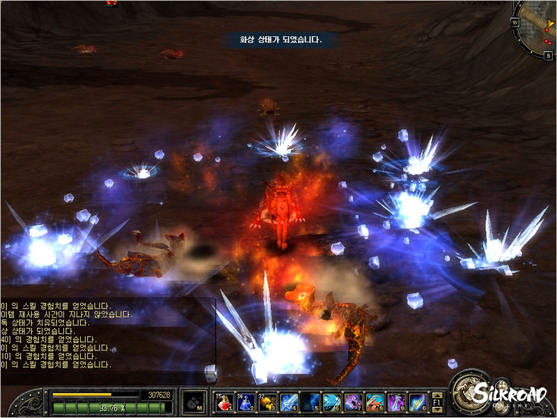 Скриншот из игры Silkroad Online - 110