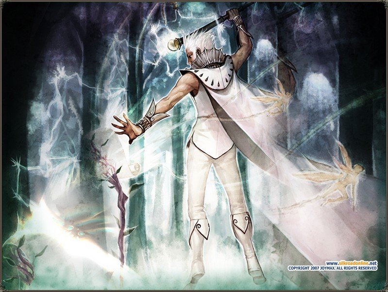 Скриншот из игры Silkroad Online - 119