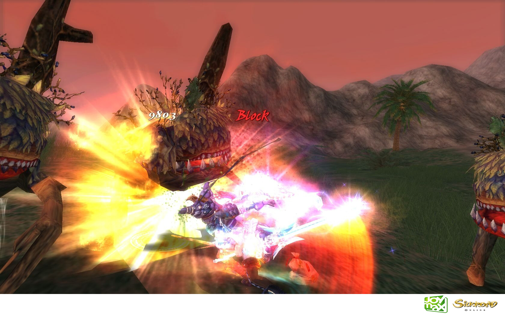 Скриншот из игры Silkroad Online - 114