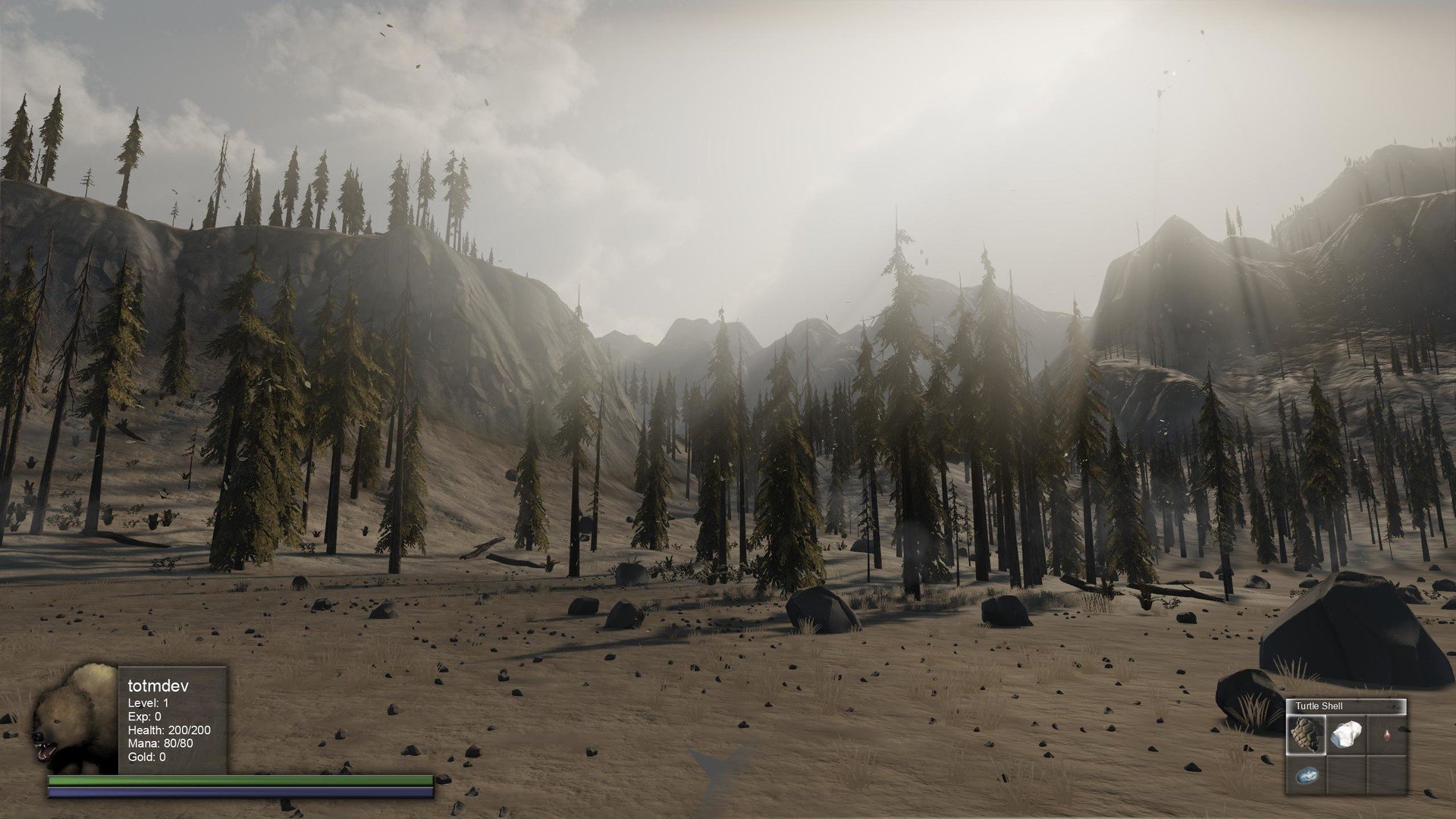 Скриншот из игры TOTM - 9