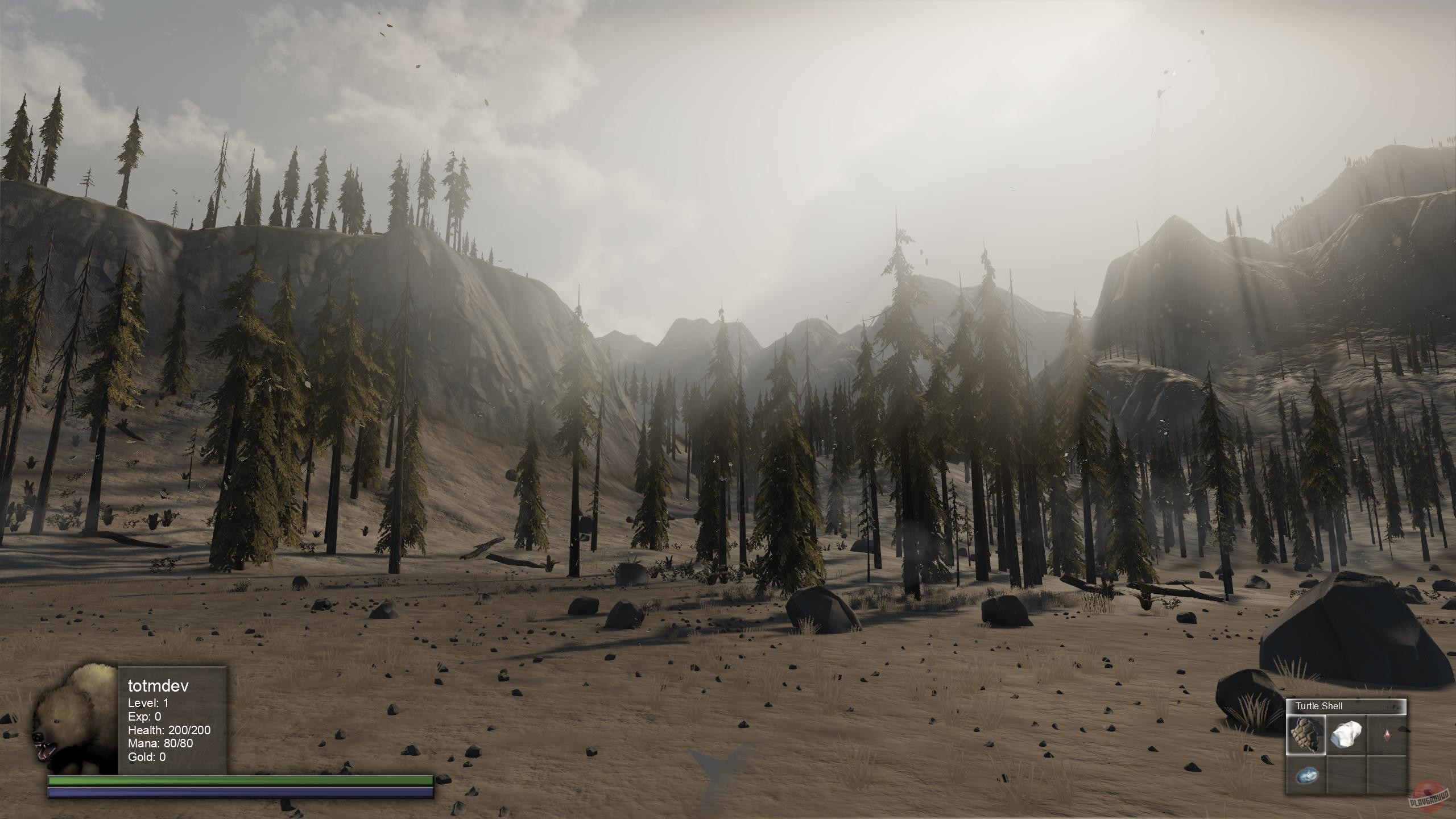 Скриншот из игры TOTM - 10