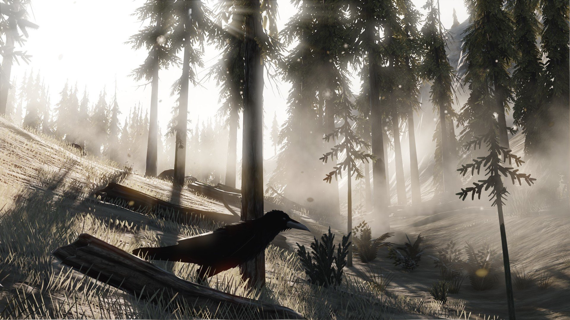 Скриншот из игры TOTM - 3