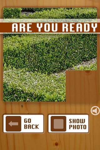 Скриншот из игры Puzzle Fun - 4