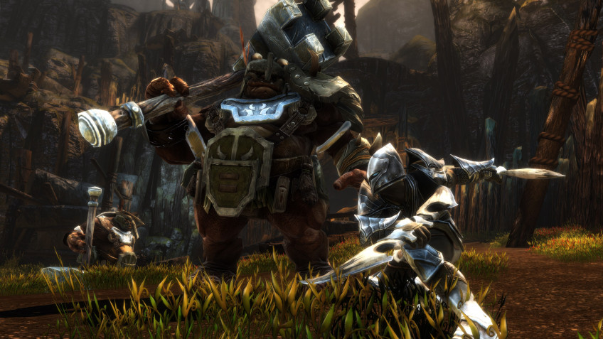 Скриншот из игры Kingdoms of Amalur: Re-Reckoning - 14