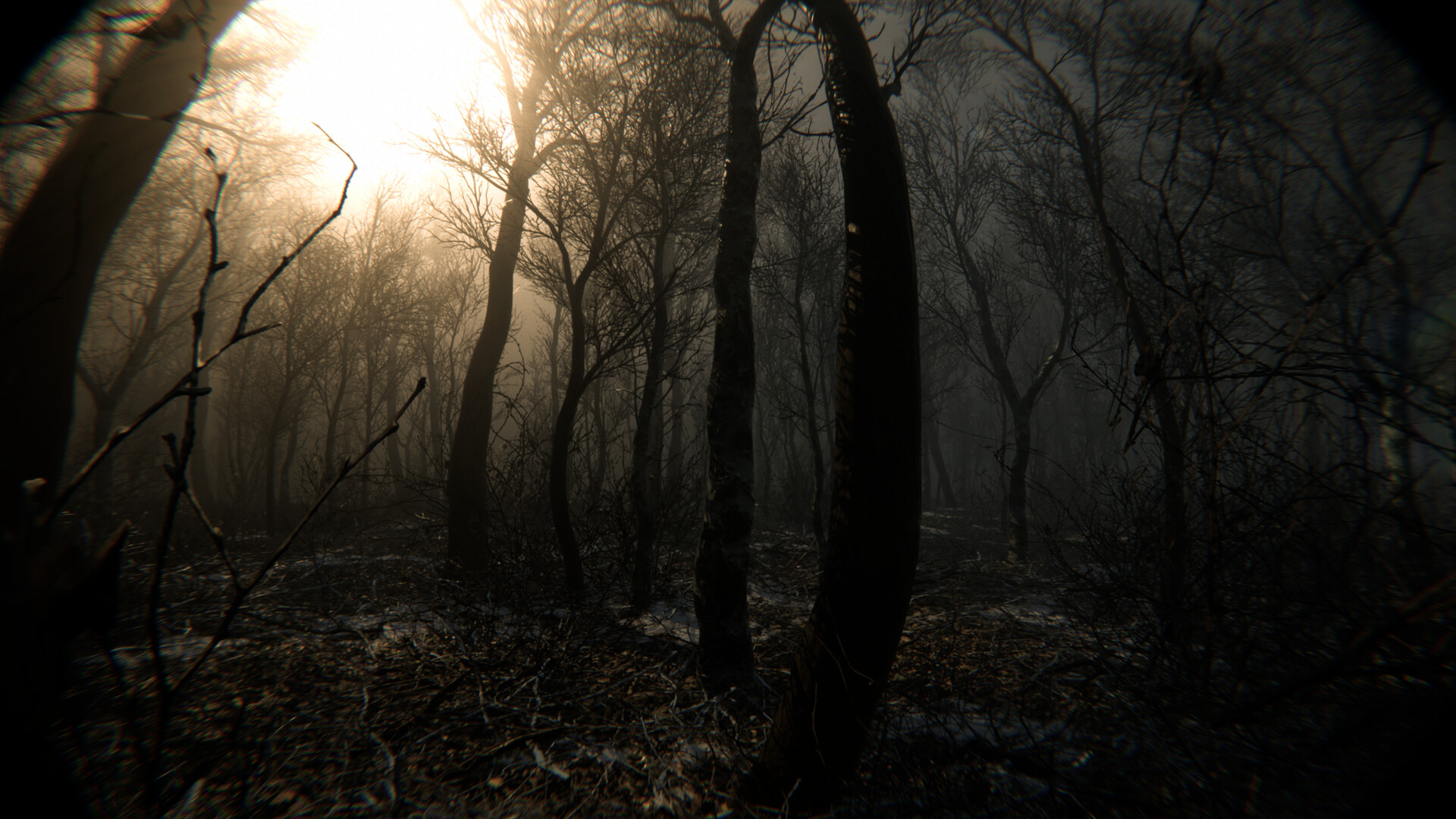 Скриншот из игры Digested - 4