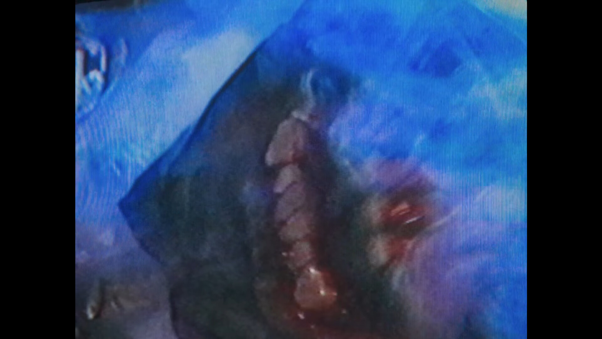 Скриншот из игры Dead Format - 1