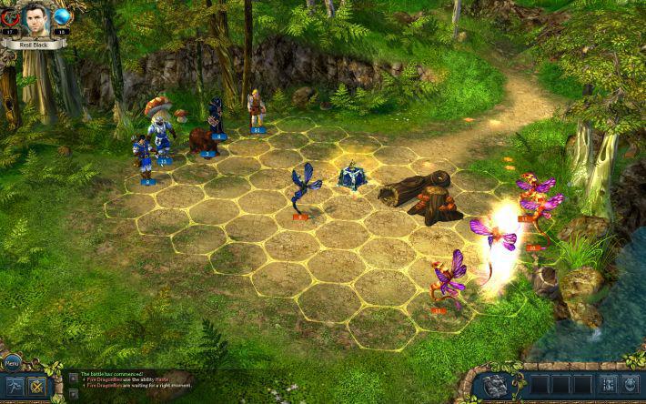 Скриншот из игры King's Bounty: The Legend - 208