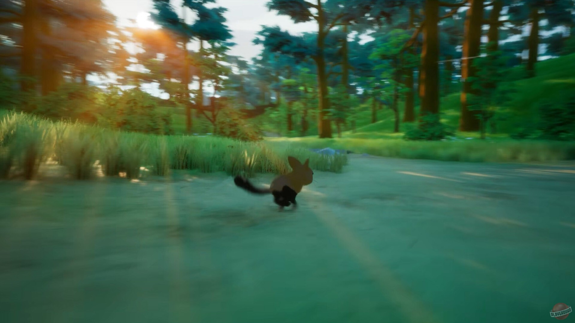 Скриншот из игры Paws Trail - 1