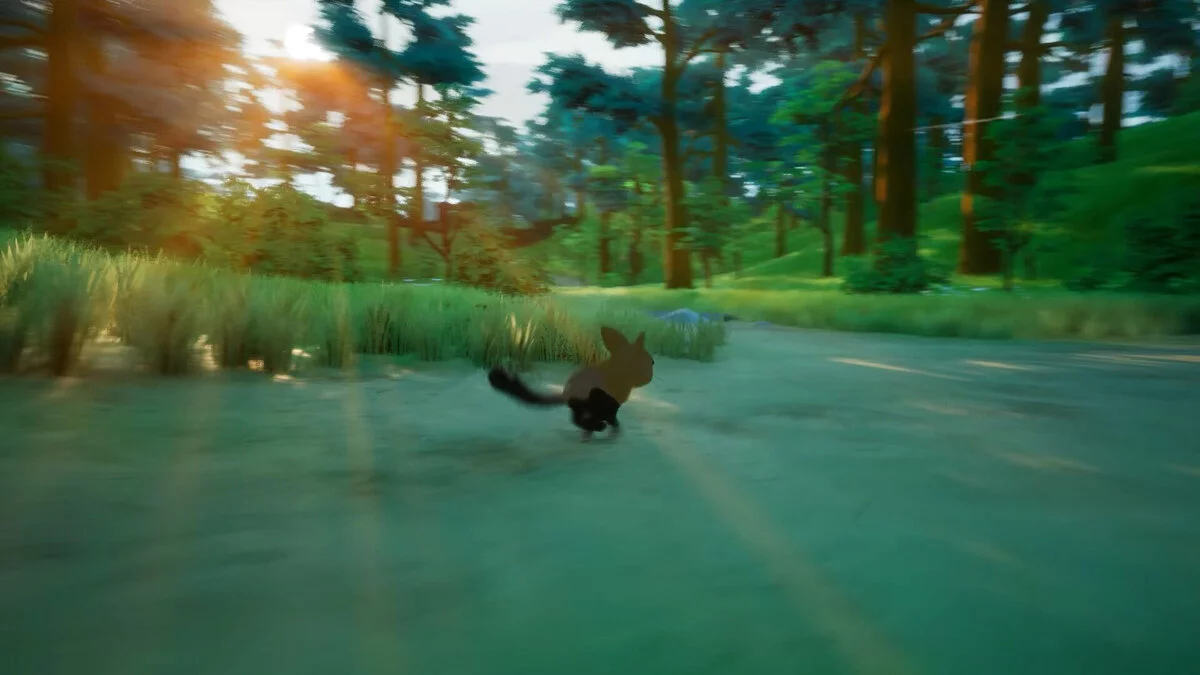 Скриншот из игры Paws Trail - 11