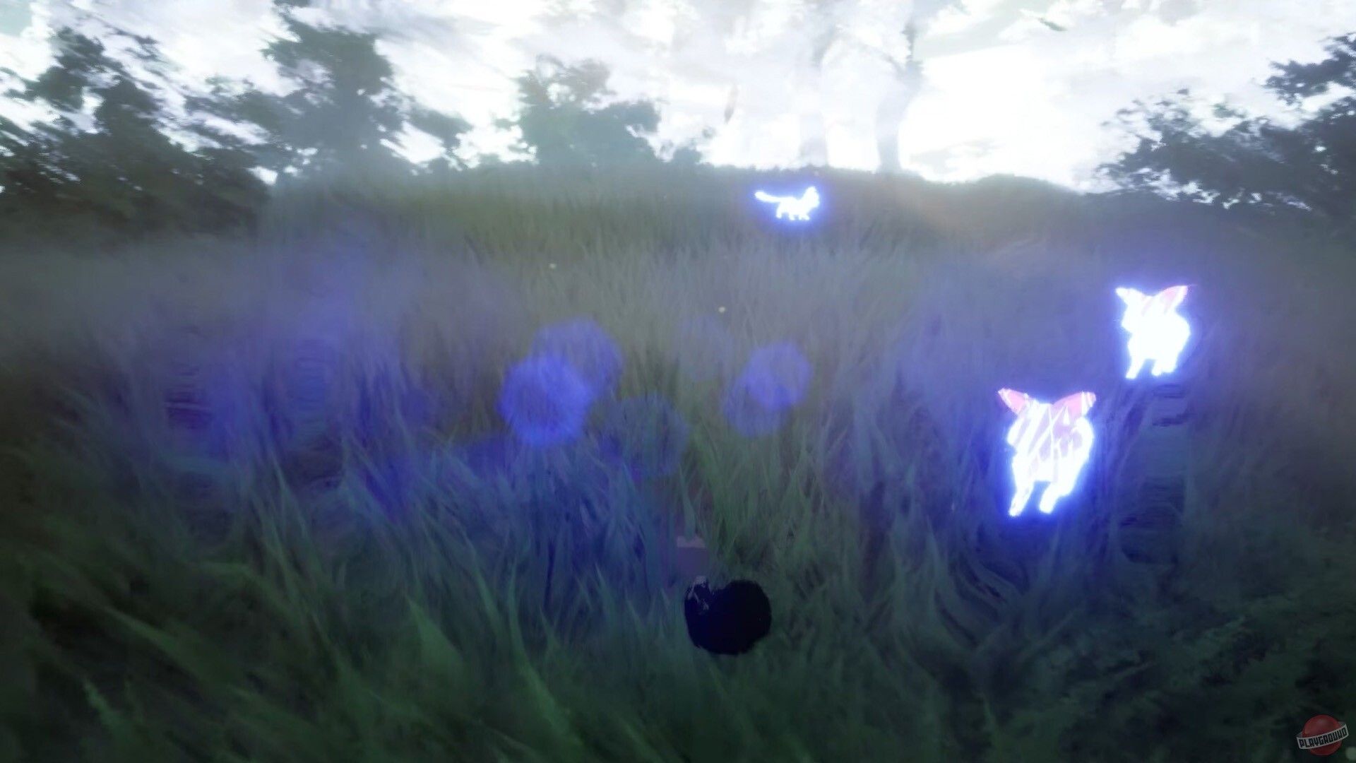 Скриншот из игры Paws Trail - 3