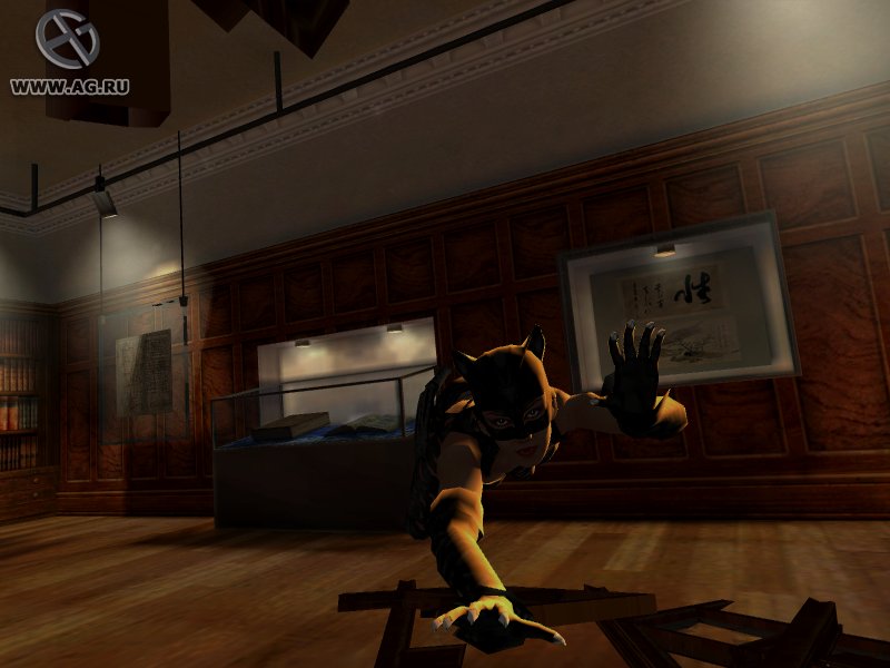 Скриншот из игры Catwoman - 33