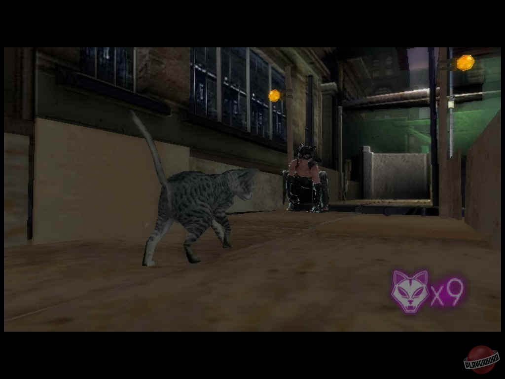 Скриншот из игры Catwoman - 21