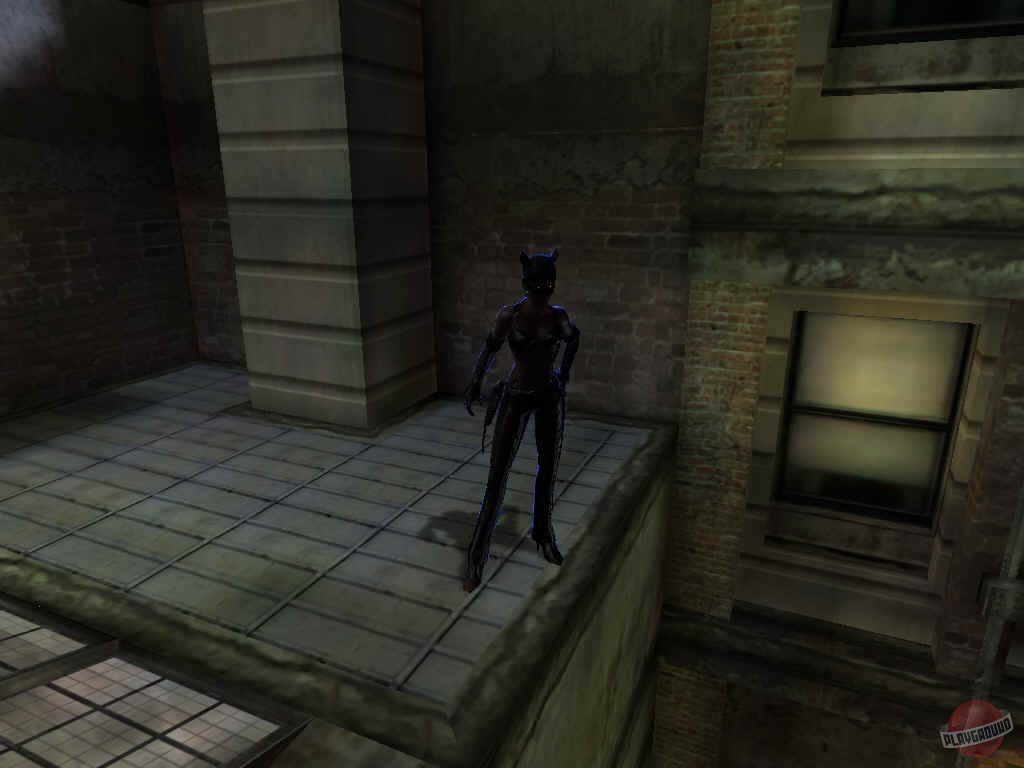 Скриншот из игры Catwoman - 17