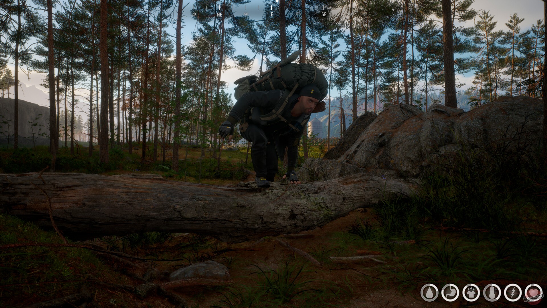 Скриншот из игры Across the Wilds - 10