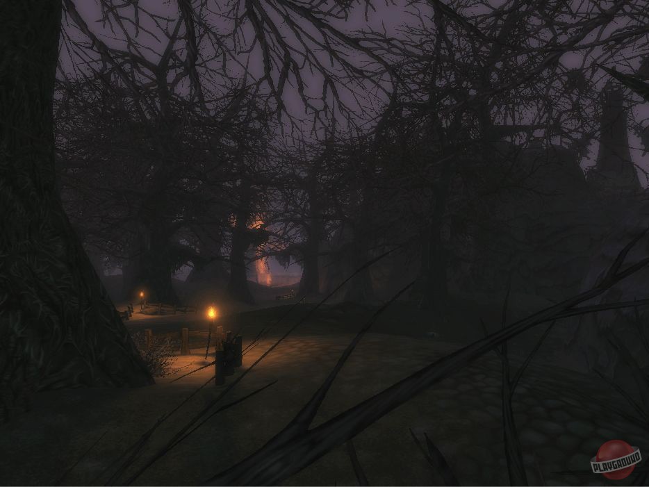 Скриншот из игры The Chronicles of Spellborn - 102