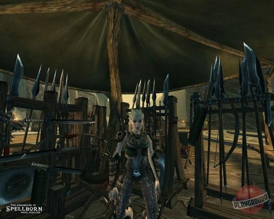 Скриншот из игры The Chronicles of Spellborn - 42