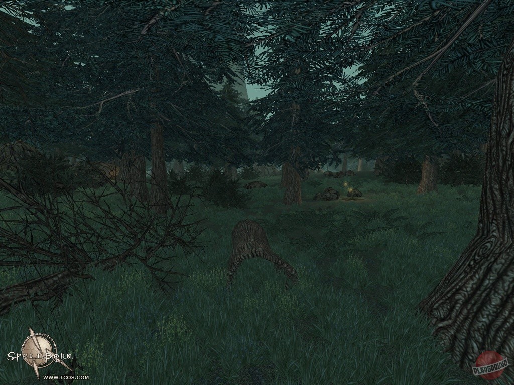 Скриншот из игры The Chronicles of Spellborn - 94