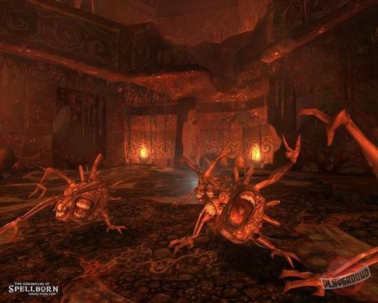 Скриншот из игры The Chronicles of Spellborn - 1