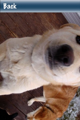 Скриншот из игры iArtPuzzle - 1