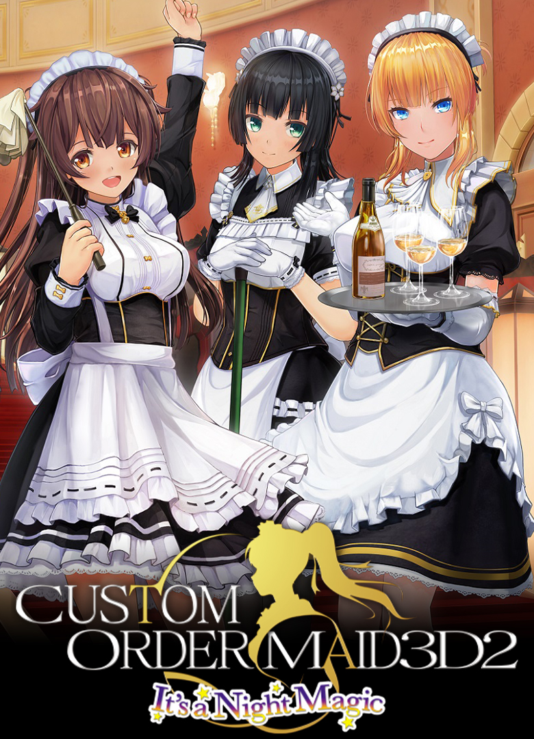 Обложка игры CUSTOM ORDER MAID 3D2 It's a Night Magic