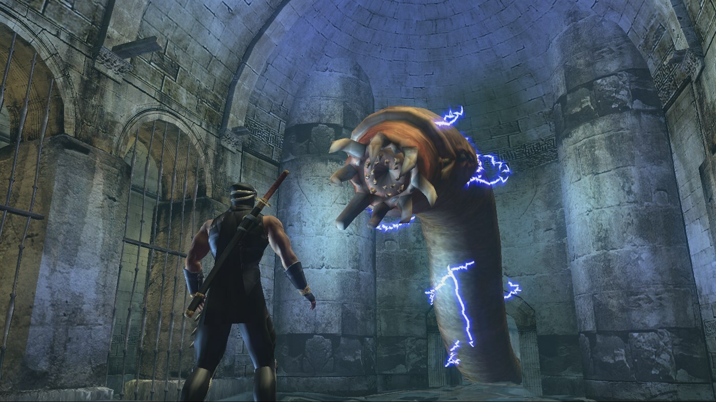Скриншот из игры Ninja Gaiden Black - 30