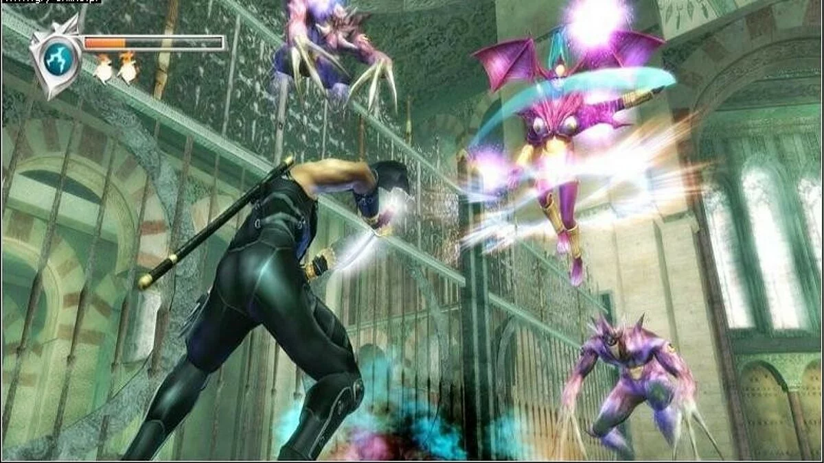 Скриншот из игры Ninja Gaiden Black - 14