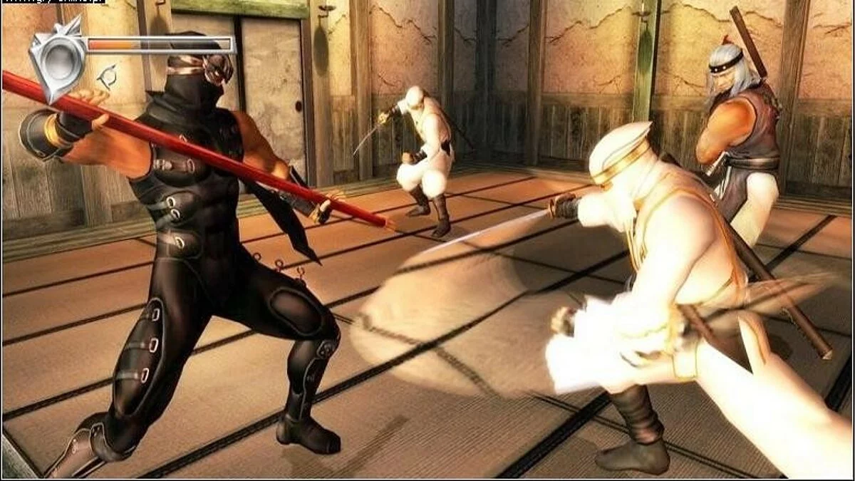 Скриншот из игры Ninja Gaiden Black - 9