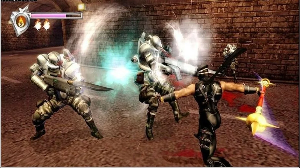 Скриншот из игры Ninja Gaiden Black - 7