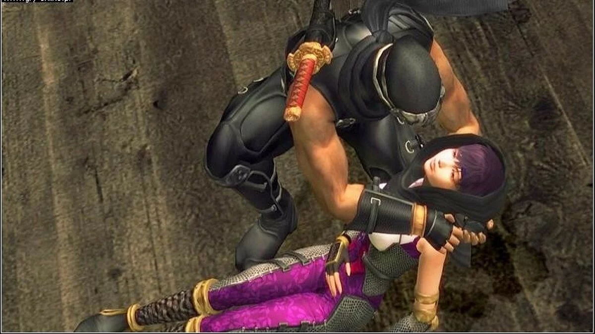 Скриншот из игры Ninja Gaiden Black - 4
