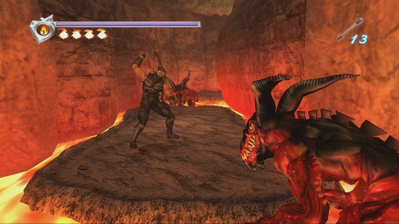 Скриншот из игры Ninja Gaiden Black - 8