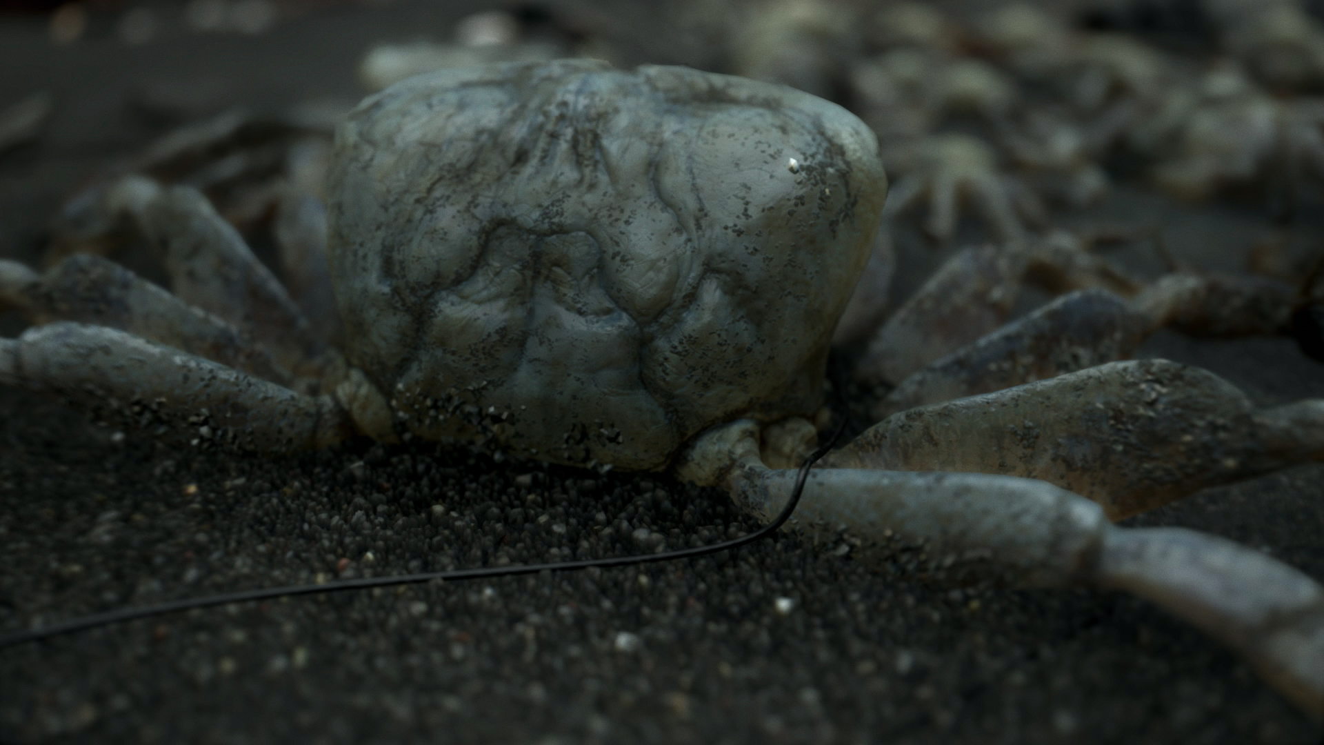 Скриншот из игры Death Stranding - 40