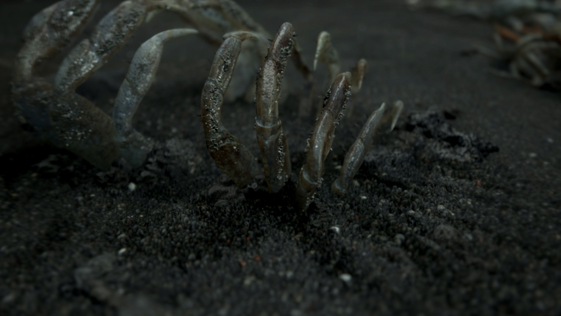 Скриншот из игры Death Stranding - 98