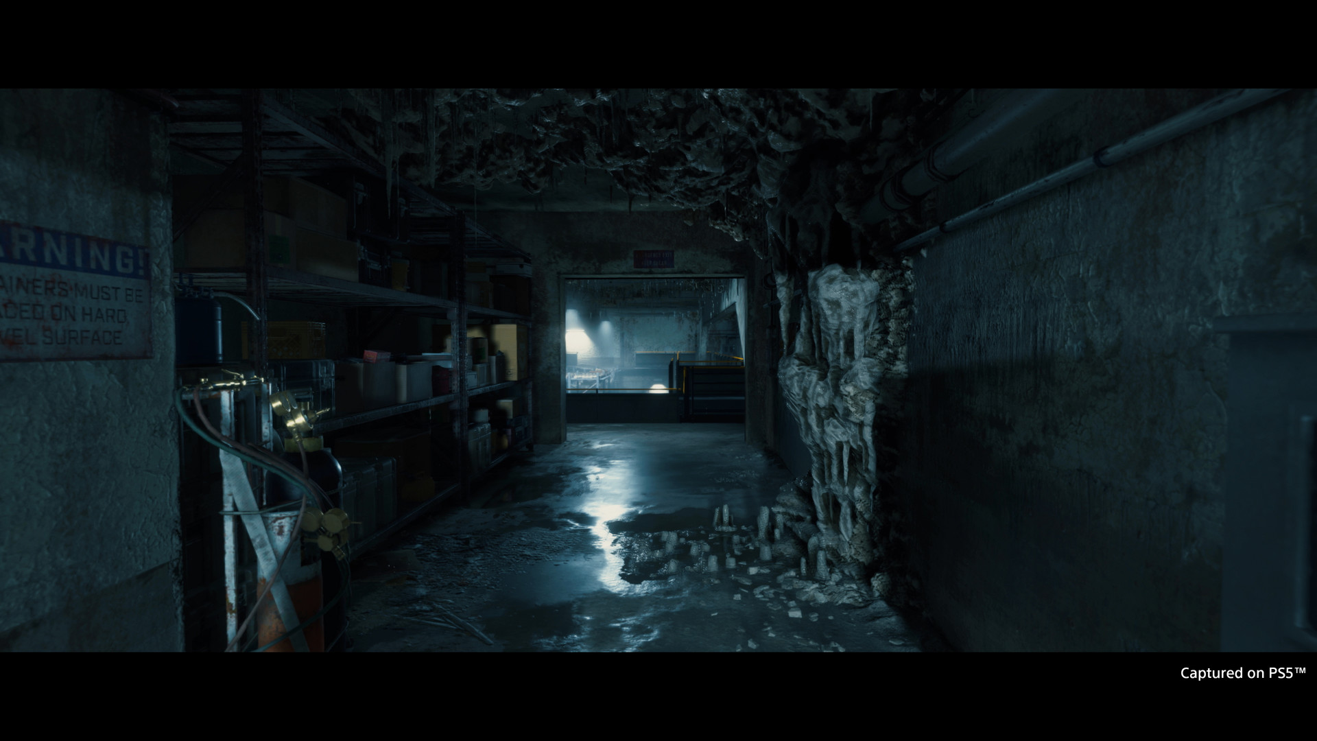 Скриншот из игры Death Stranding - 106