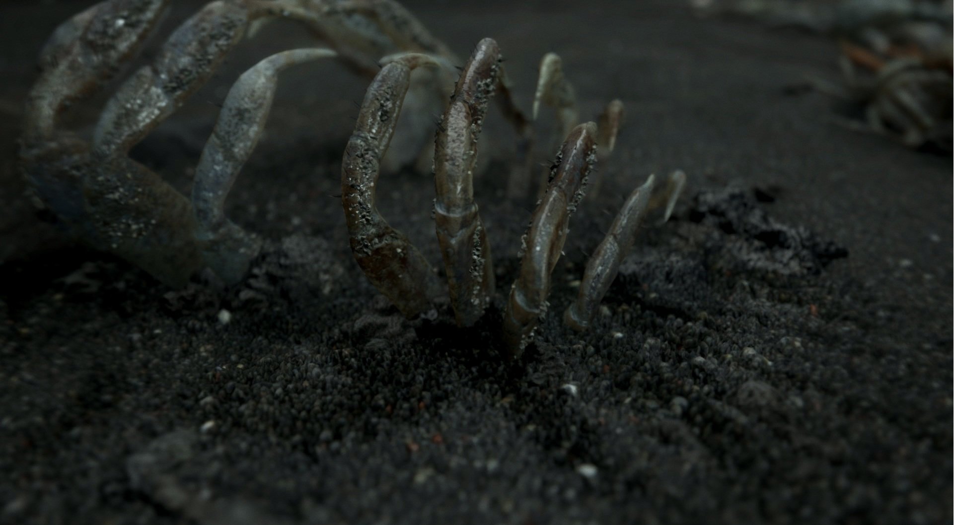 Скриншот из игры Death Stranding - 11