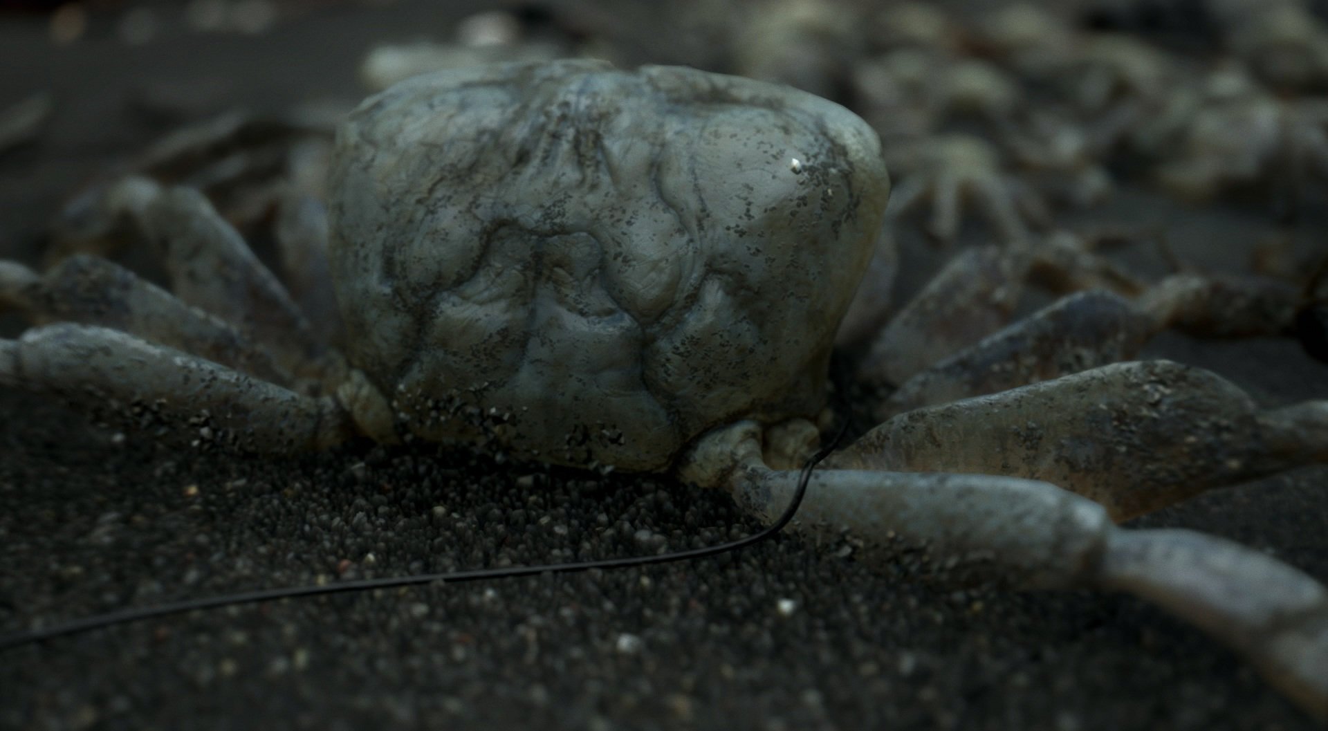Скриншот из игры Death Stranding - 14