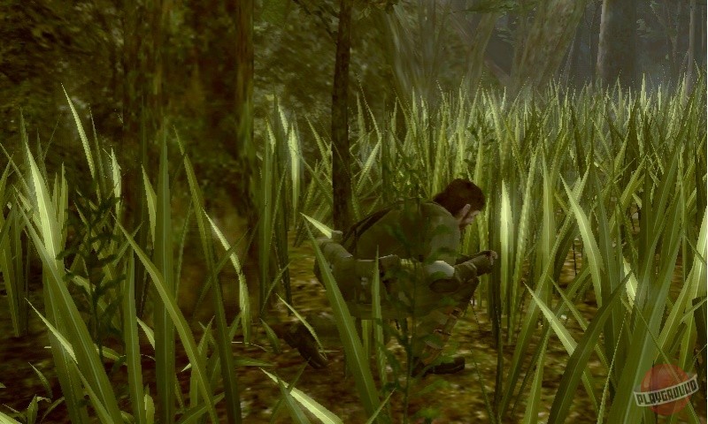 Скриншот из игры Metal Gear Solid 3D: Snake Eater - 21