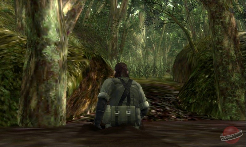 Скриншот из игры Metal Gear Solid 3D: Snake Eater - 12